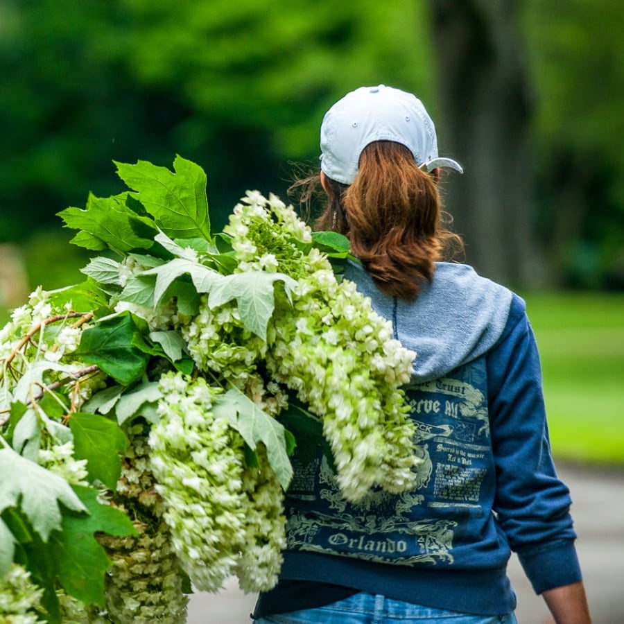 Wedding Tips from Lillie Jane’s